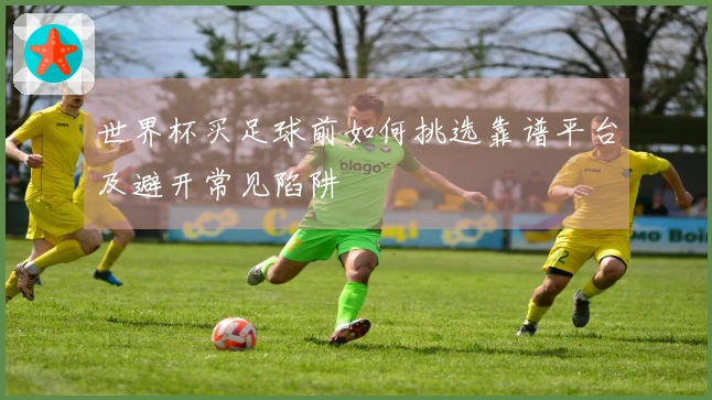 世界杯买足球前如何挑选靠谱平台及避开常见陷阱