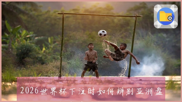 2026世界杯下注时如何辨别亚洲盘口的正规性与安全性